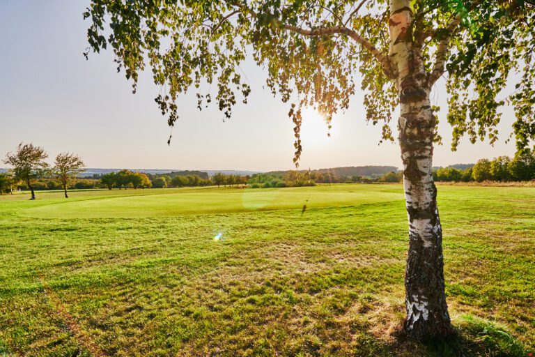 Schritt 1 Schnupperkurs 2